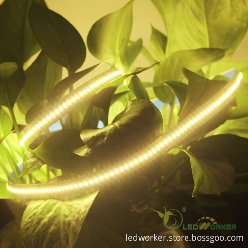 High Luminous Waterproof Heat Resistant SMD 2216 LED Strip Light - CRI90/95, 19W, 23V/24V, 2700K Flexible LED Strip Lights